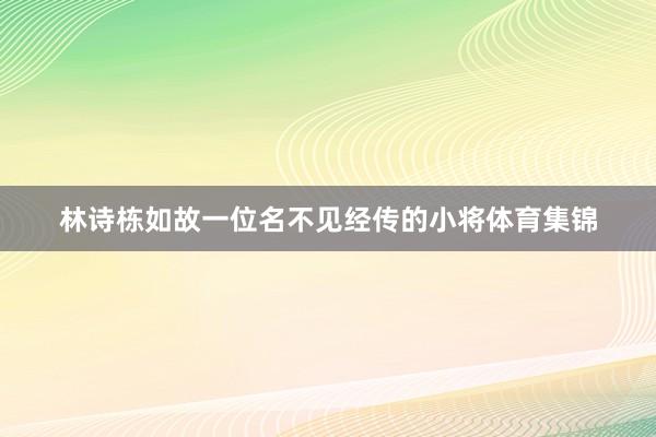 林诗栋如故一位名不见经传的小将体育集锦