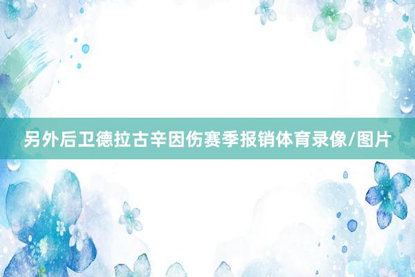 另外后卫德拉古辛因伤赛季报销体育录像/图片