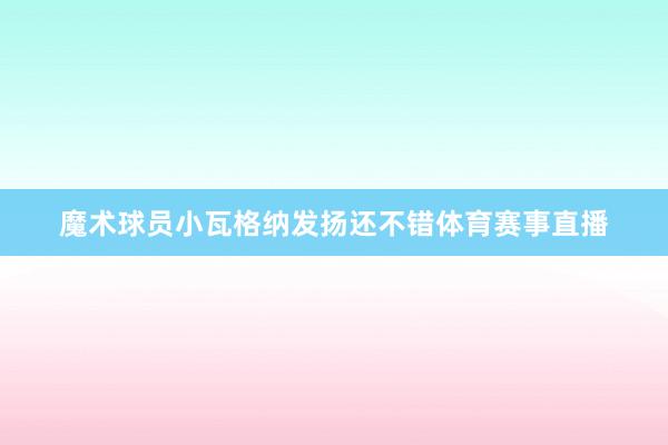 魔术球员小瓦格纳发扬还不错体育赛事直播