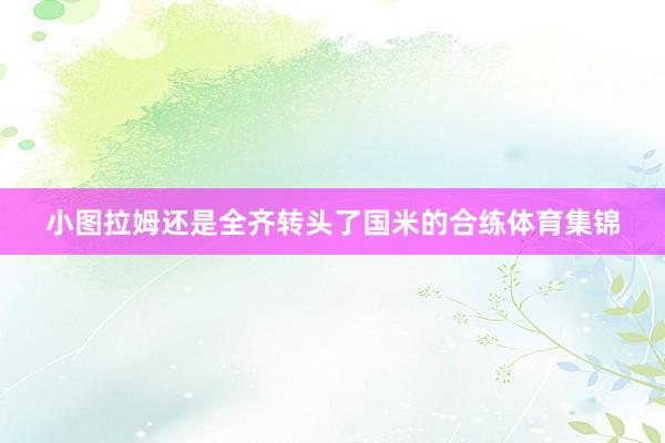 小图拉姆还是全齐转头了国米的合练体育集锦