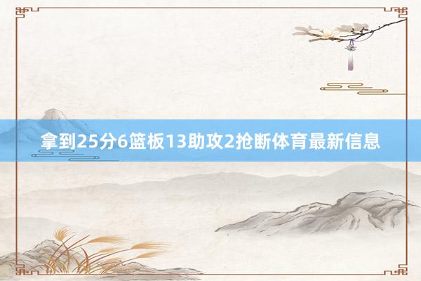 拿到25分6篮板13助攻2抢断体育最新信息