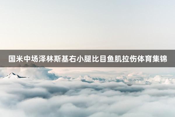 国米中场泽林斯基右小腿比目鱼肌拉伤体育集锦