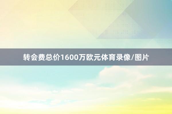 转会费总价1600万欧元体育录像/图片